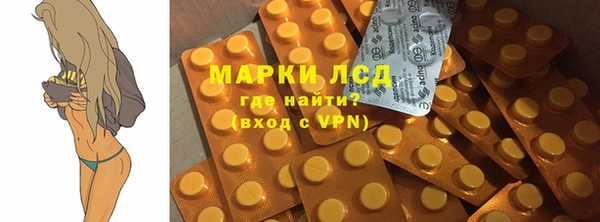 гидра Абаза