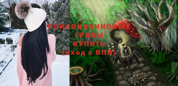 гидра Абаза