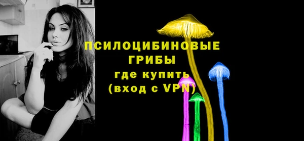 спиды Алексеевка