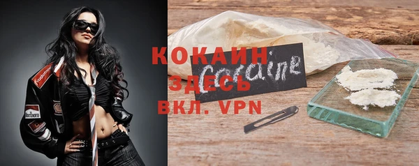 стаф Алексин