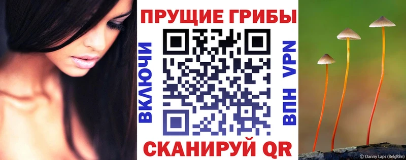 Псилоцибиновые грибы прущие грибы  Бобров 